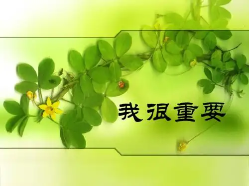#《我很重要》ppt课件