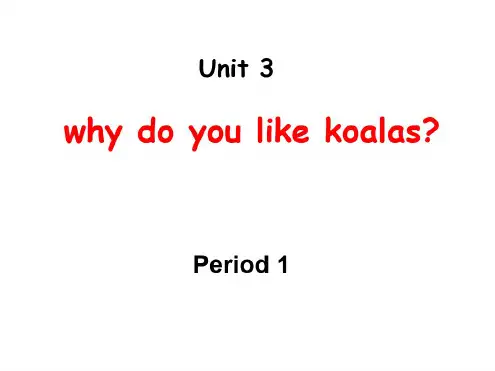 七年级英语why-do-you-like-koalas课件1(1)