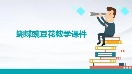 蝴蝶豌豆花教学课件
