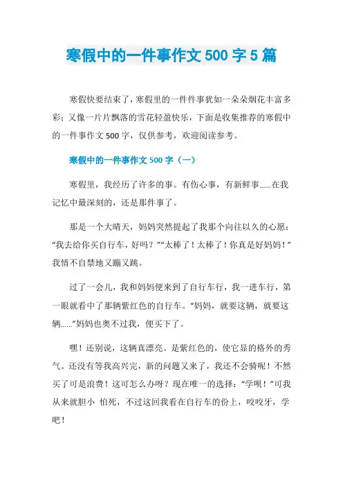 寒假中的一件事作文500字5篇