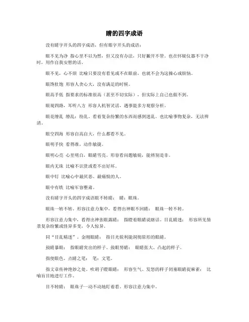 睛的四字成语