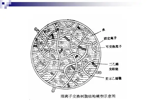 离子交换教学培训PPT 离子交换概论