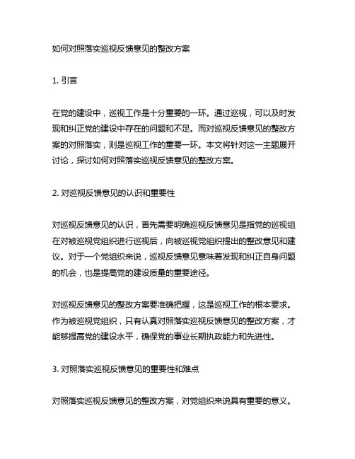 对照落实巡视反馈意见的整改方案