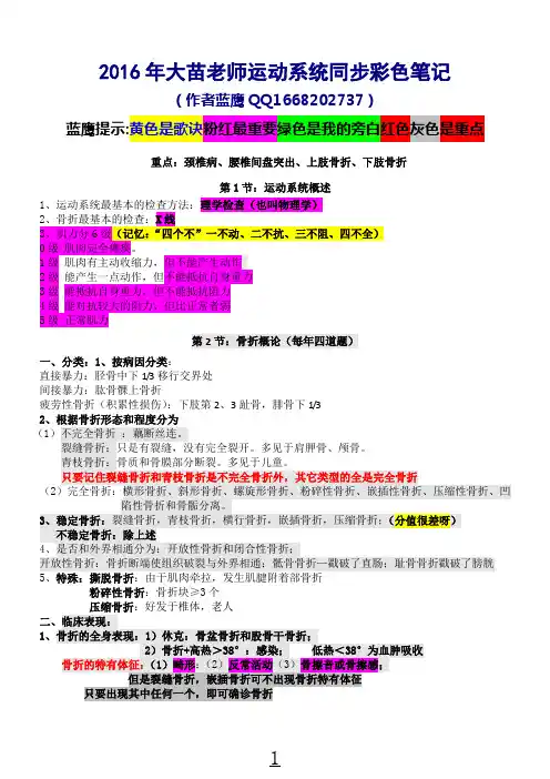运动系统笔记