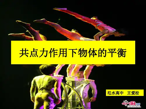 高一物理必修1共点力的平衡精品PPT课件