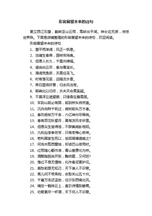 形容展望未来的诗句