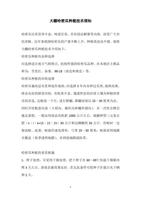 大棚哈密瓜种植技术须知