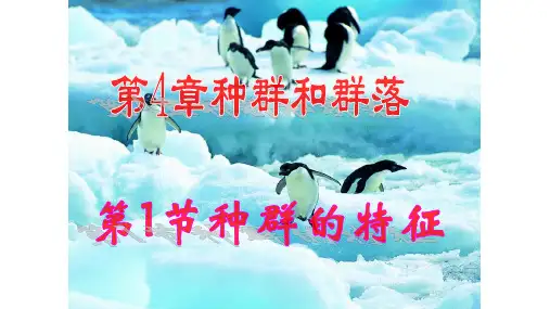 4.1 种群的特征