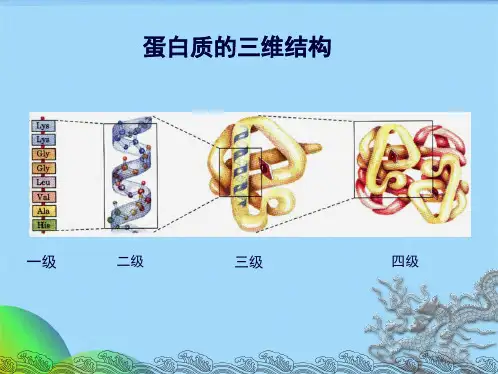 生物化学第5章-蛋白质的三维结构(共41张PPT)