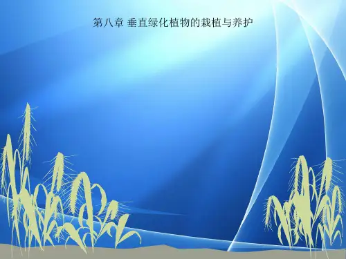 第八章 垂直绿化植物的栽植与养护