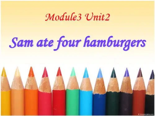 Sam ate four hamburgers- 优秀PPT课件3