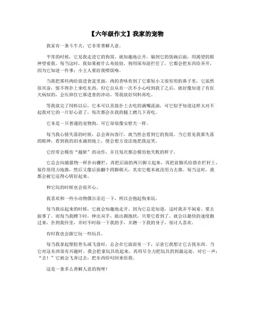 【六年级作文】我家的宠物