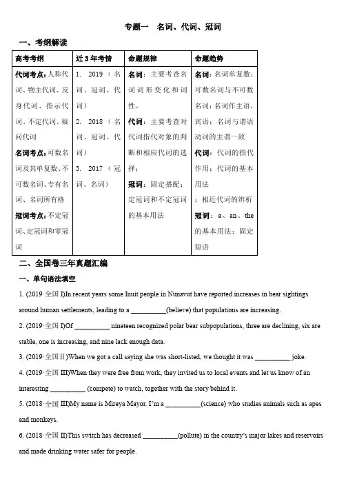 专题一  名词、代词、冠词(全国卷)
