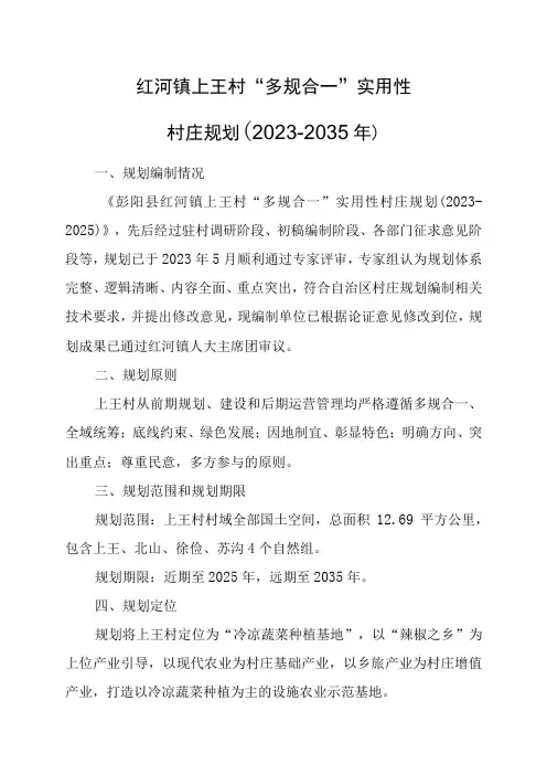红河镇上王村多规合一实用性村庄规划20232035年