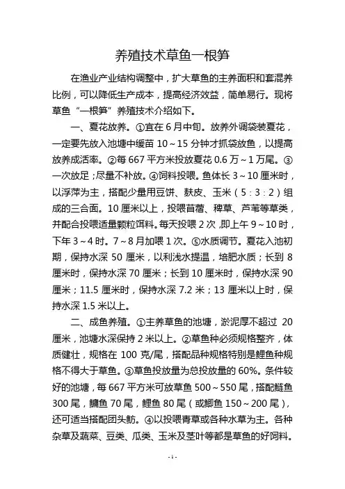 养殖技术草鱼一根笋