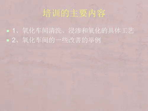 氧化工艺培训