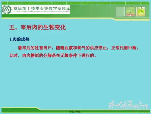 宰后肉的生物变化(与“分解”有关优秀PPT文档)