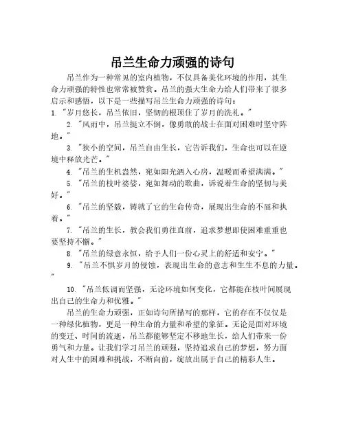 吊兰生命力顽强的诗句