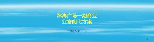 【商业地产-PPT】天津津湾广场一期都市综合体业态配比方案方案-30PPT-2008年11月