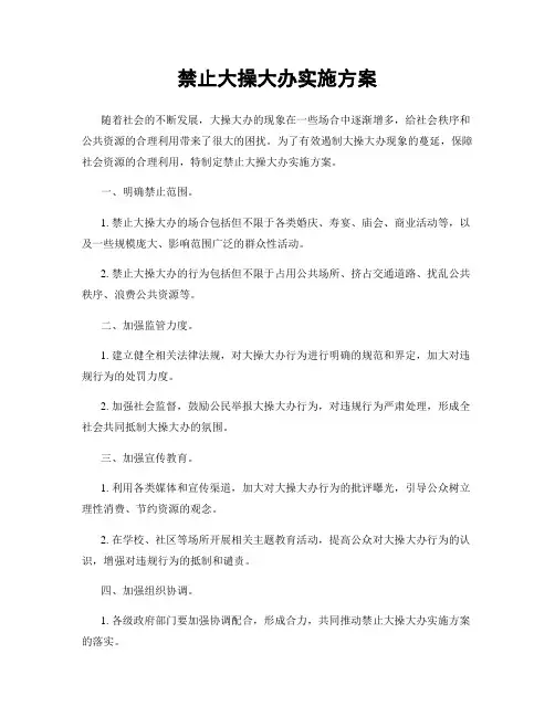 禁止大操大办实施方案