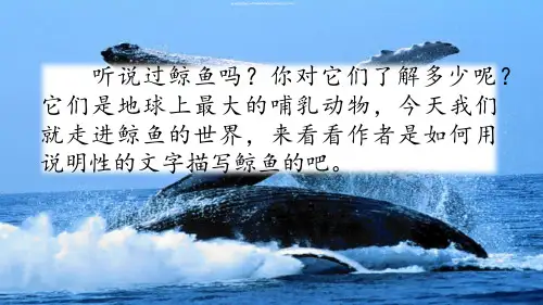 【部编版】小学语文五上：习作例文《鲸》《风向袋的制作》课件(51页)