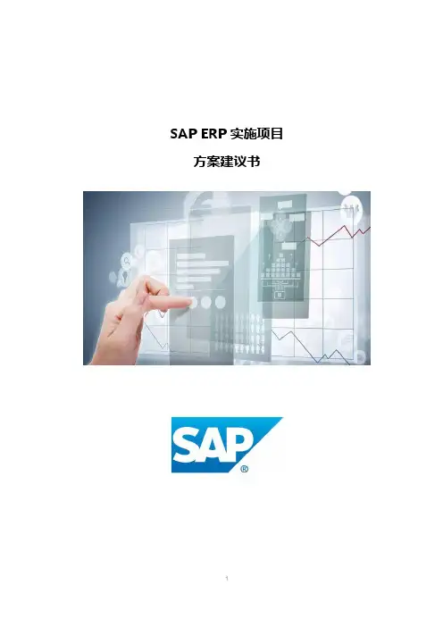 SAP ERP实施项目方案建议书