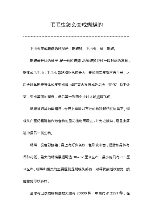 毛毛虫怎么变成蝴蝶的