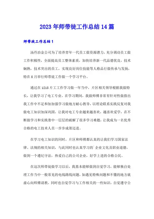 2023年师带徒工作总结14篇