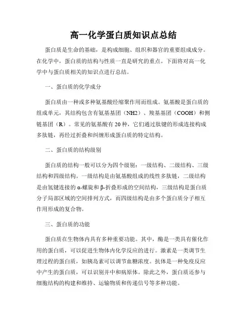 高一化学蛋白质知识点总结