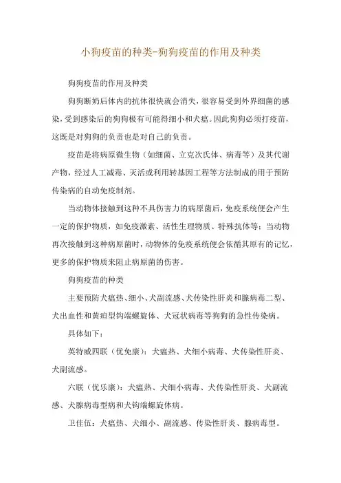 小狗疫苗的种类-狗狗疫苗的作用及种类