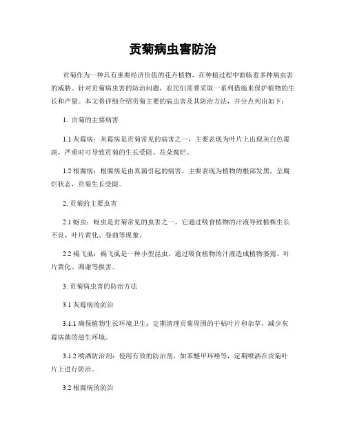 贡菊病虫害防治
