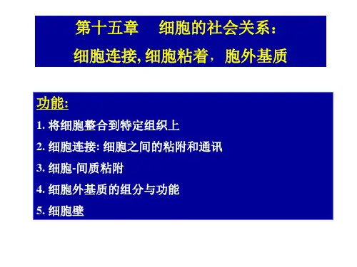 细胞的社会关系