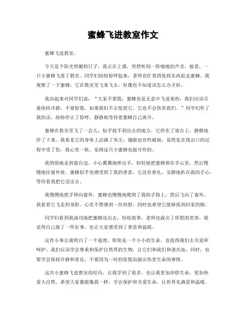 蜜蜂飞进教室作文