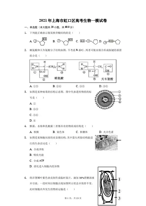 2021年上海市虹口区高考生物一模试卷(附答案详解)