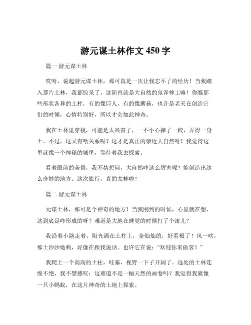 游元谋土林作文450字