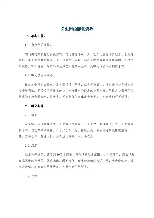 卤虫卵的孵化流程