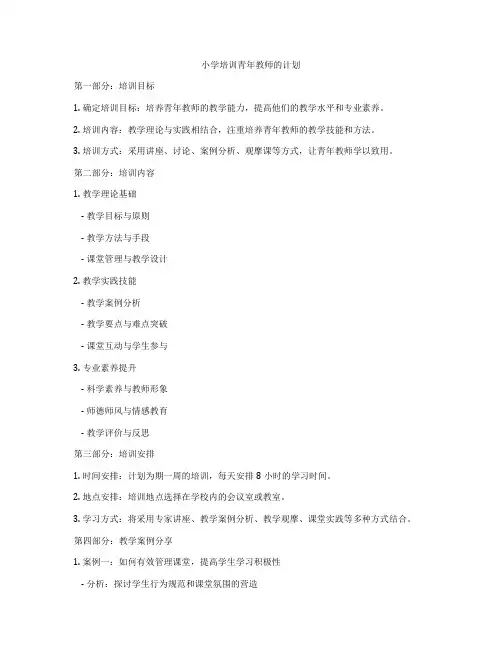 小学培训青年教师的计划
