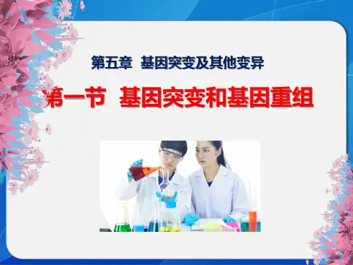 人教版高中生物必修2 《基因突变和基因重组》精品教学课件