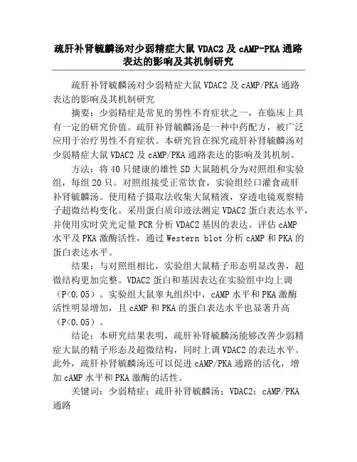 疏肝补肾毓麟汤对少弱精症大鼠VDAC2及cAMP-PKA通路表达的影响及其机制研究