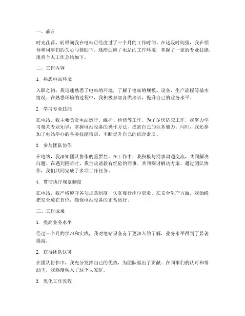 电站新员工个人工作总结