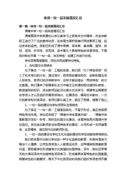 体育一校一品实施情况汇总