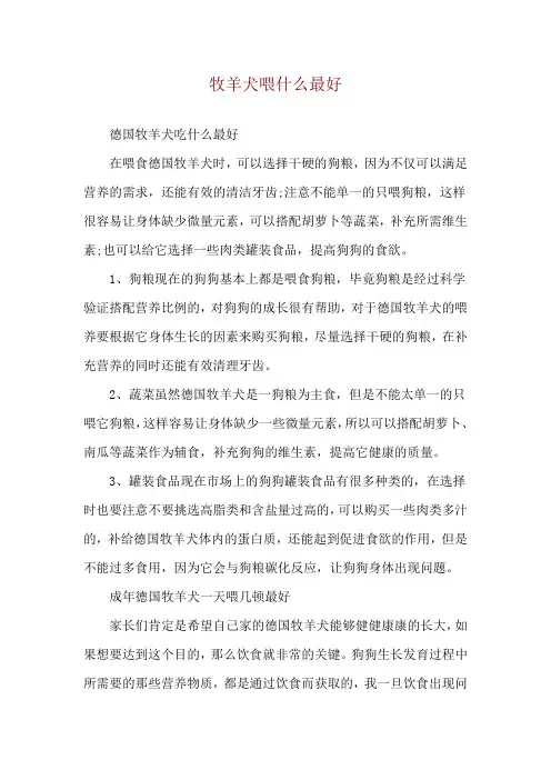 牧羊犬喂什么最好