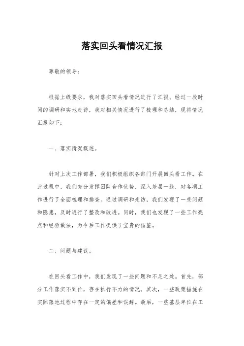 落实回头看情况汇报