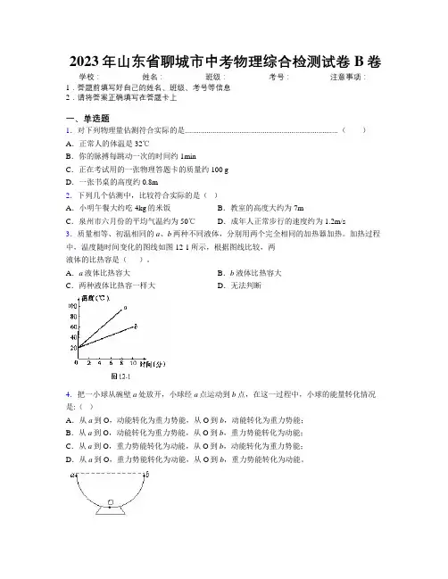 2023年山东省聊城市中考物理综合检测试卷B卷及解析