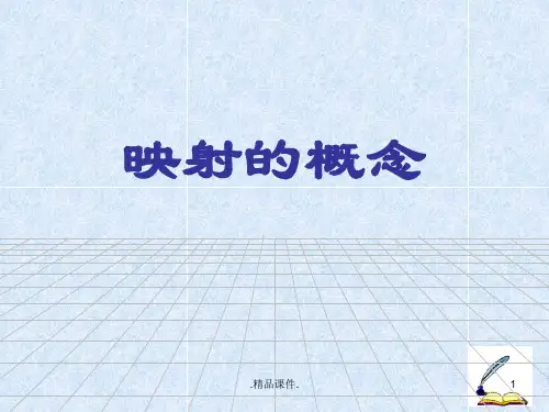 演示文档高一必修一映射的概念.ppt
