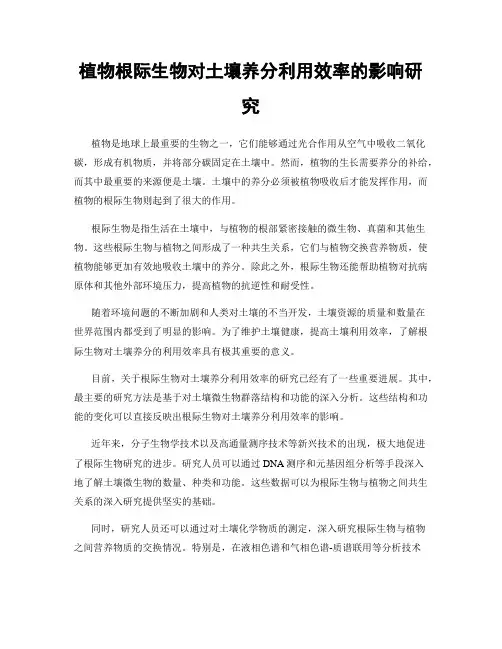 植物根际生物对土壤养分利用效率的影响研究