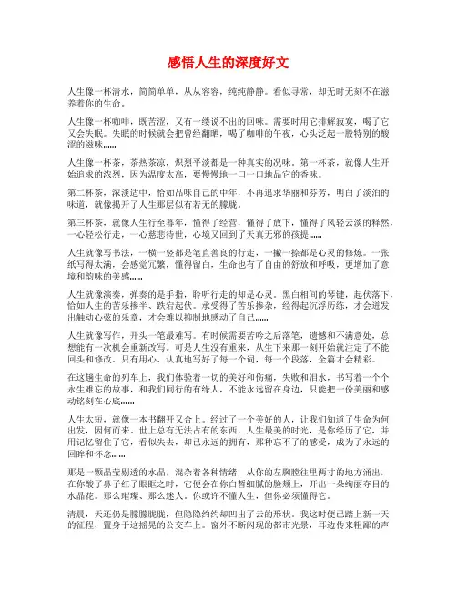 感悟人生的深度好文