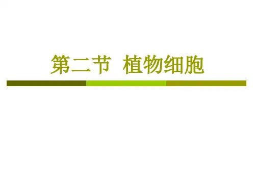 人教版七年级生物第二节-植物细胞课件 (共19张PPT)