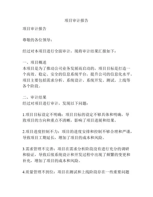 项目审计报告