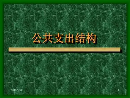 财政学(公共支出部分)